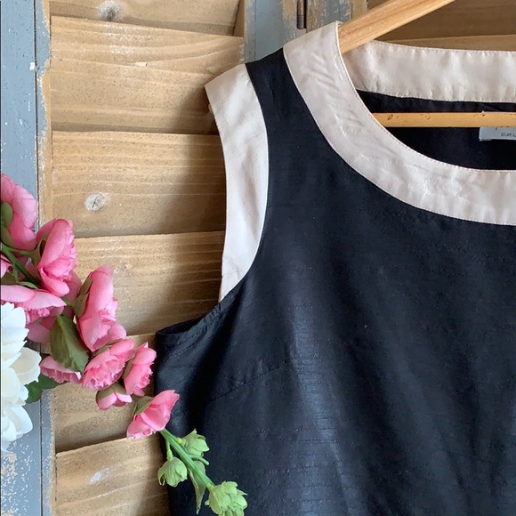 Privee Black and cream trim shift dress🦋 - Picture 5 of 7